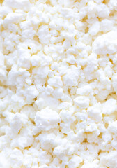 Fresh milk curd as background.