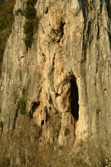 Bergkette und Blumenwiese in der Provinz Saraburi, Thailand