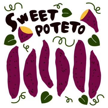 手書きイラストのさつまいも 美味しいお芋どうですか Stock Vector Adobe Stock