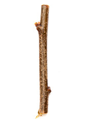 Wooden twig isolated on a white background.