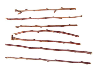 Wooden twigs isolated on a white