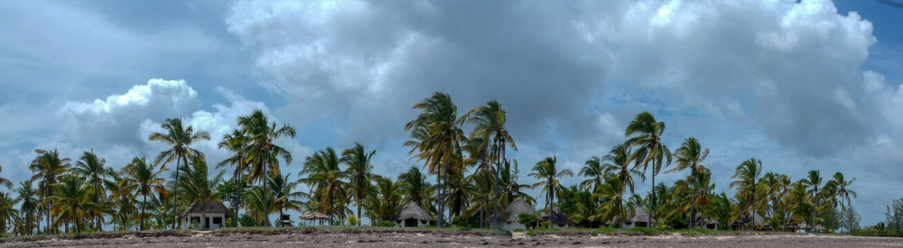 Beachlife with huts and palmtrees on the coast of Kilwa in Tanzania