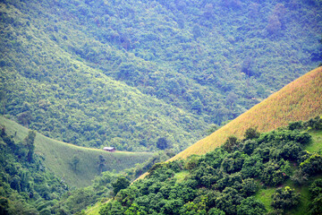 view of the mountains