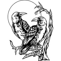 Two Crows in The Dark Silhouette