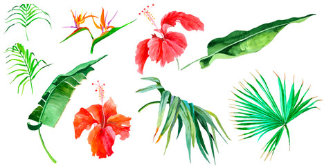 Fototapeta na wymiar Tropical flowers and palm leaves watercolor isolated on white background seamless pattern for all prints.