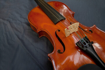 Fototapeta premium Violin isolated on white background. Texture background violin. Playing violin.