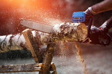 chainsaw cutting tree
