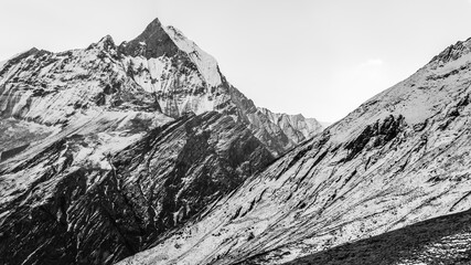 Black and white view of Mount Machhapuchhre or Fishtail Mountain, Annapurna Conservation Area, Himalaya, Nepal.