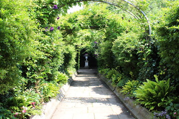 Garden path in the summer