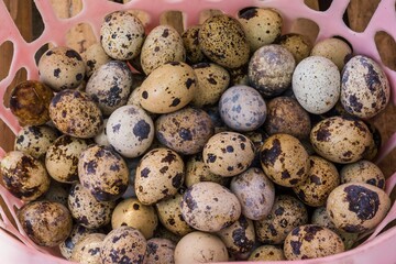 Plenty of quail eggs in the pink basket with selective focus