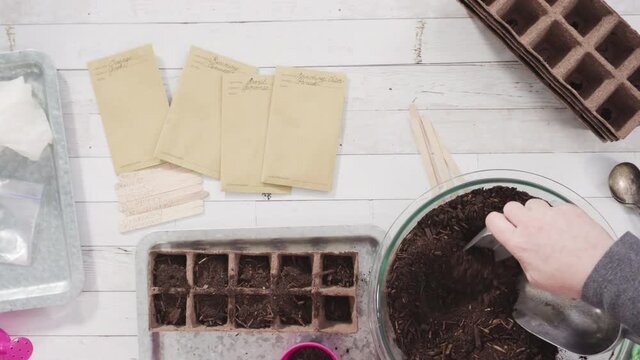 Time lapse. Flat lay. Little girl helping to plant herb seeds into small containers for a homeschool project.