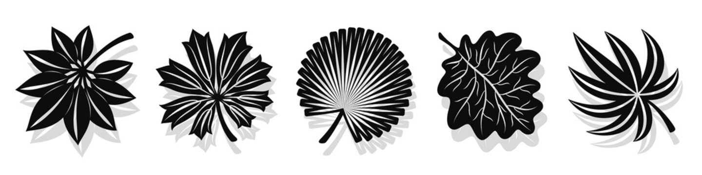 Set of vector black leaves silhouettes and shadow isolated on white background. Abstract cartoon leaf or foliage flat shape icon style. Design for logo, stencil or pattern artwork.