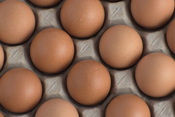 A bunch of eggs with corrugate box and bowl with natural morning light