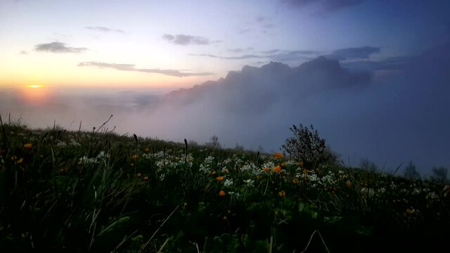 Flower fields, fast flying clouds in mountain landscape. Timelapse video