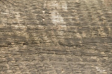Old scratched board. Abstract background