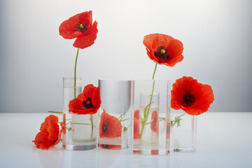Product crystal minimal scene with glass geometric display platform and poppies flowers. Stand to...