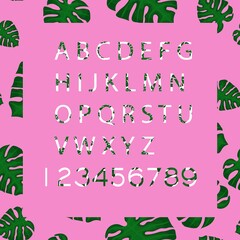 vector font. poured out the tropics