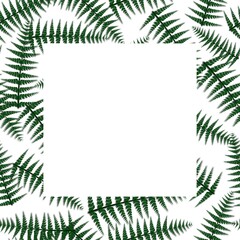 tropical style. frame for the cover. vector print tropics