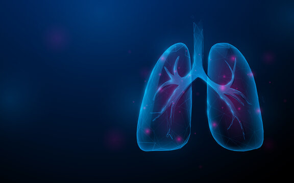 20,209 Human Lung Stock Photos, High-Res Pictures, and Images - Getty Images