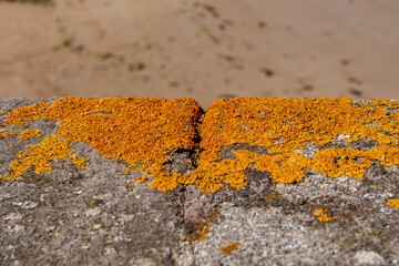 Détail des remparts