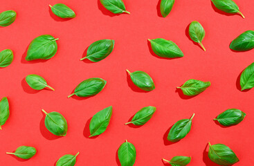 Basil pattern on red background, from above, hard shadow