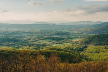 A landscape with trees and hills, Blue Ridge Parkway, Fancy Gap, Virginia