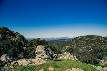 Paisaje de montaña con rocas y vegetación
