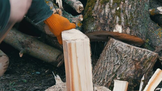 Man's hands chop large logs and tree trunks with ax for a future fire