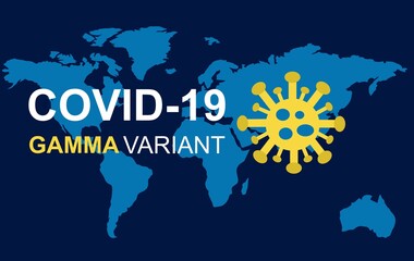 World map - covid-19 gamma variant