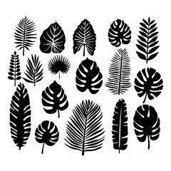 Collection of black Leaves. Vector Illustration.