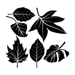 Collection of black Leaves. Vector Illustration.