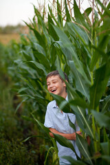 Teen boy kid in corn field in a summer day