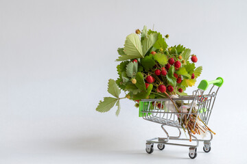 Bouquet of fresh wild forest strawberries with green leaves lies in toy market shopping cart on...