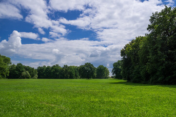 Fototapeta premium Fresh green meadow with large trees, tiny footpath and puffy clouds. Czech landscape near Pardubice.