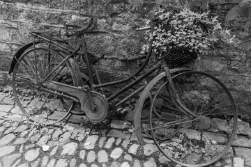 history in bicycles