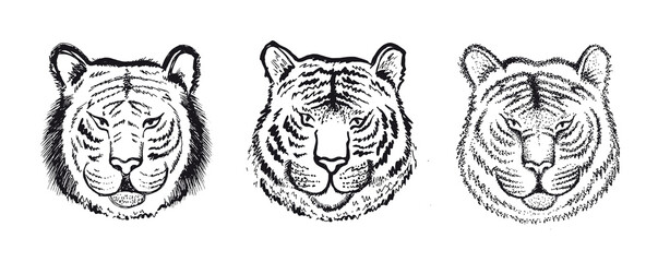Tiger head set, hand drawn illustration, isolated on white background.