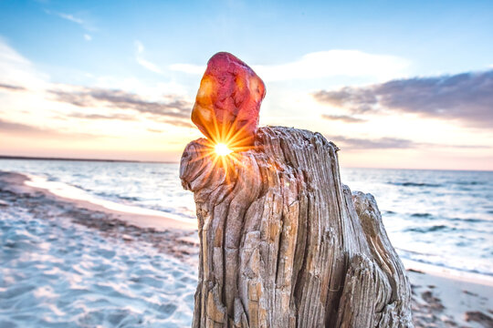 bernstein am meer