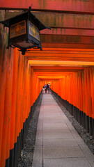 Fushimi Inari