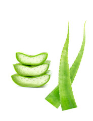 aloe vera slices on white background