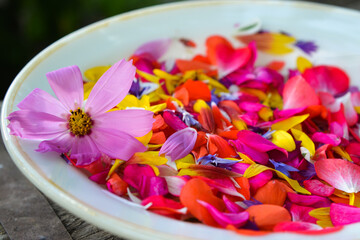Bowl with multicolored petals