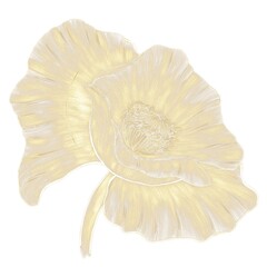 Hatched illustration of a poppy flower, golden outline on a white background isolated element