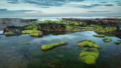 View of Cresswell Beach on the coast of Northumberland, England, UK, at sunset.