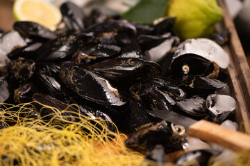 Raw fresh mussels from Ganzirri Messina on counter at local fish market.