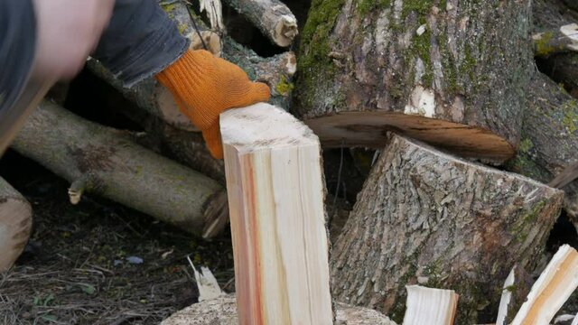 Man woodcutter chops tree trunks with an ax for firewood