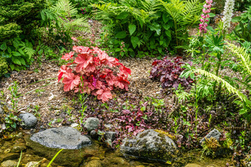 Fototapeta premium Seatac Garden Red Plant