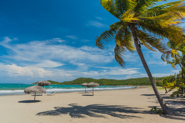 Obraz na płótnie Canvas Idyllic sand beach on Caribbean Sea. Palm trees against blue sky. Cuba