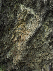 東京都 奥多摩 方解石