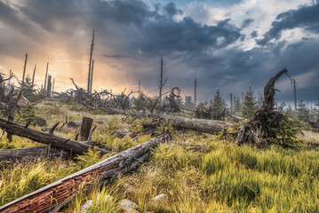 Dramatic landscape scenery at Mount Dreisessel after quick weather changes in the mountains with a lot of rain