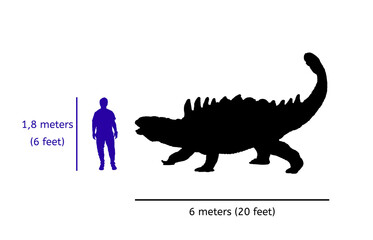 Comparison size between ankylosaurus and human. Illustration of silhouette of ankylosaurus body compared with human's body © fabio