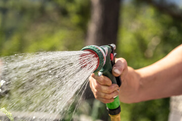 A person pouring garden plants with a garden hose